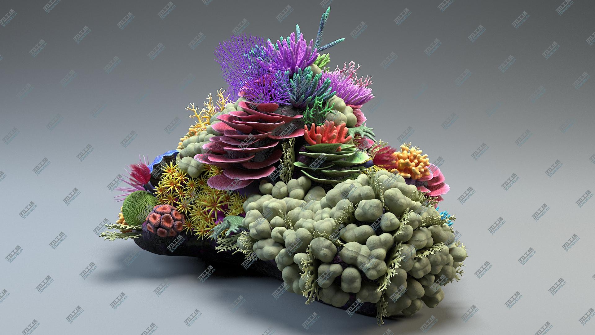 images/goods_img/202104022/Coral Reef 01 3D/4.jpg